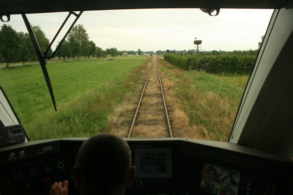 Ełk przez Pisz!