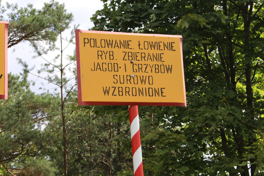 Zbieranie grzybów w tym lesie grozi śmiercią