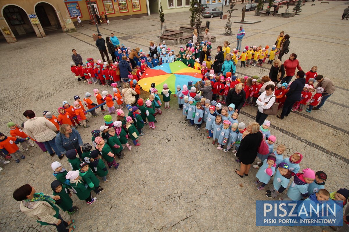 Kolorowy kwiatek na Placu Daszyńskiego