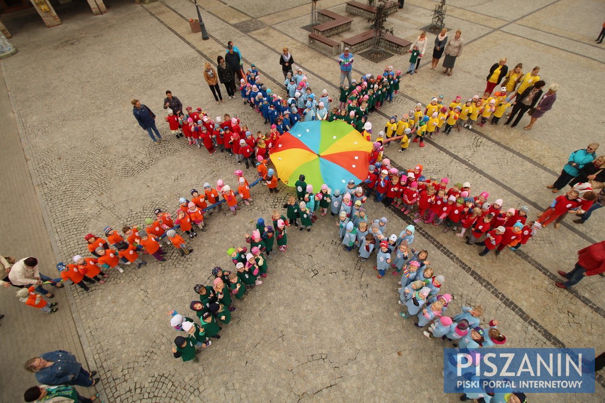 Kolorowy kwiatek na Placu Daszyńskiego