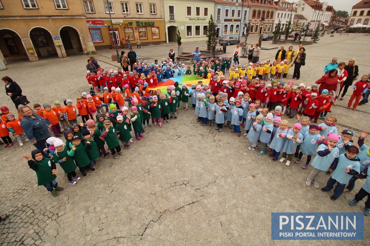 Kolorowy kwiatek na Placu Daszyńskiego