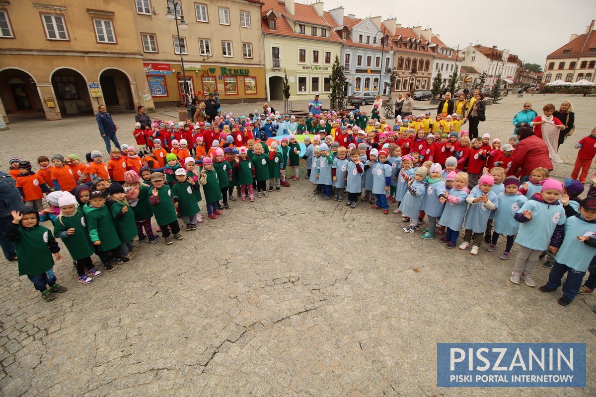 Kolorowy kwiatek na Placu Daszyńskiego