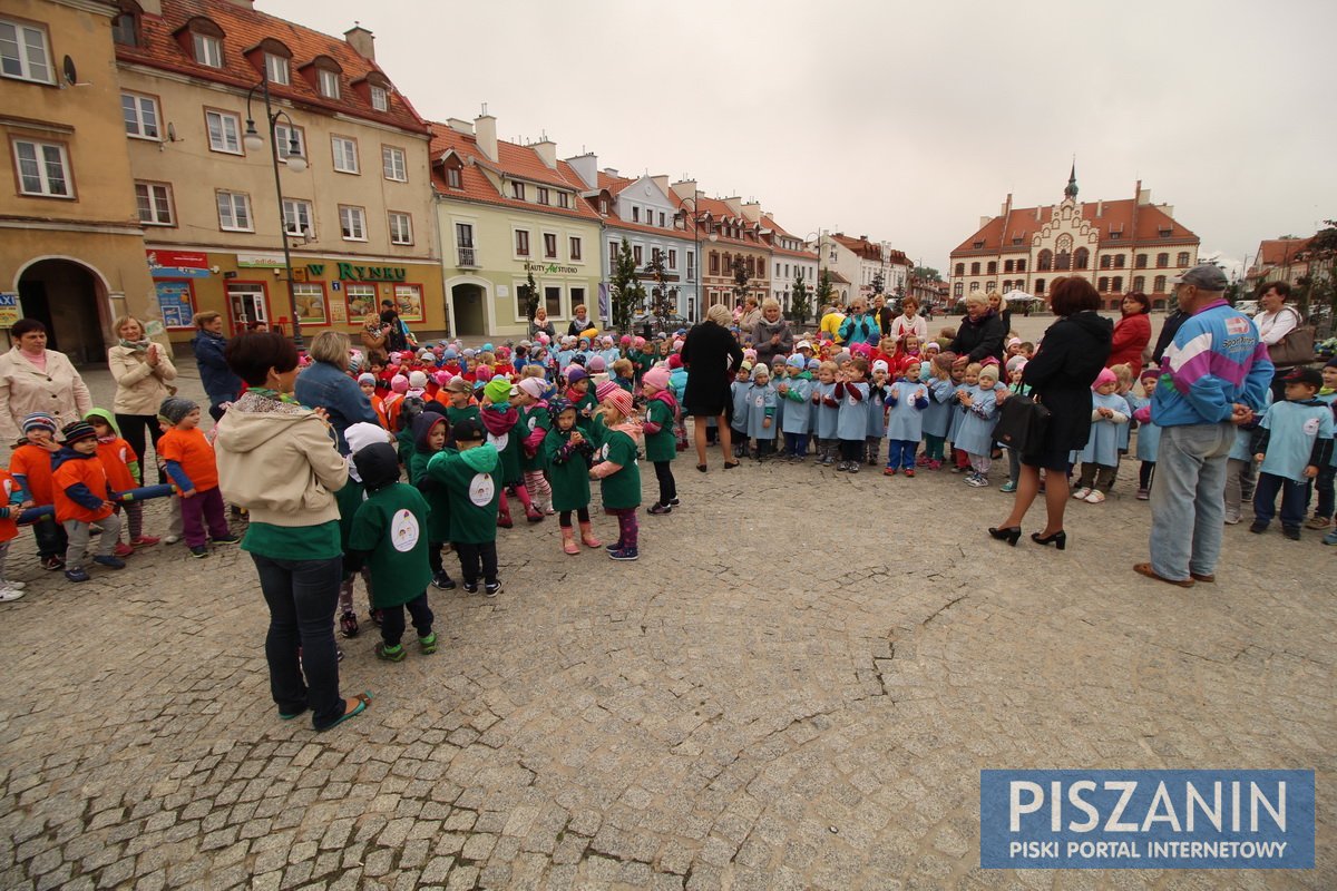 Kolorowy kwiatek na Placu Daszyńskiego