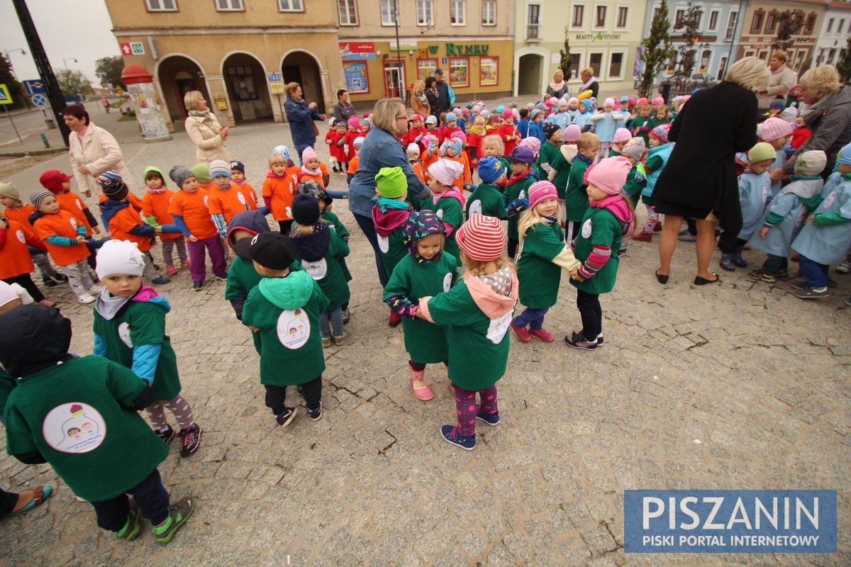 Kolorowy kwiatek na Placu Daszyńskiego