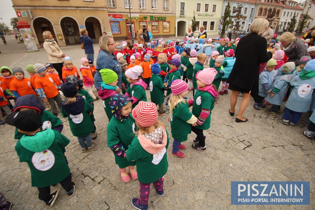 Kolorowy kwiatek na Placu Daszyńskiego