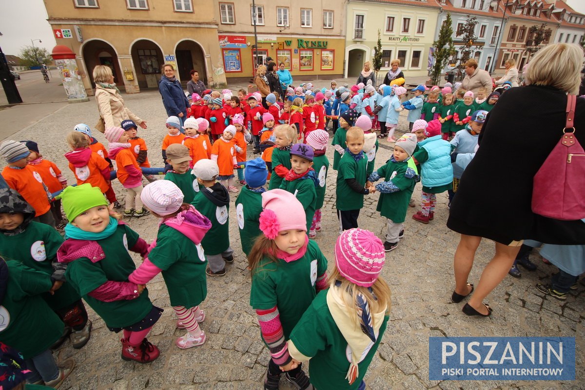 Kolorowy kwiatek na Placu Daszyńskiego