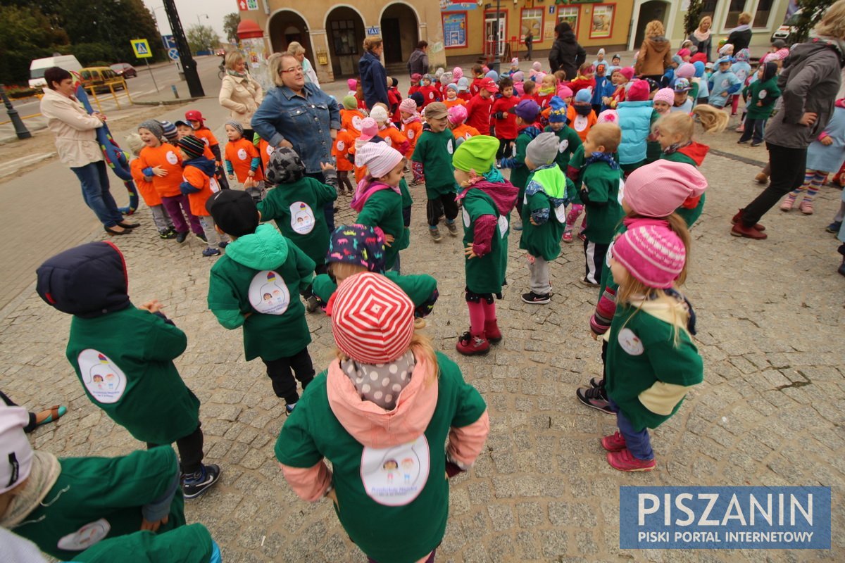 Kolorowy kwiatek na Placu Daszyńskiego