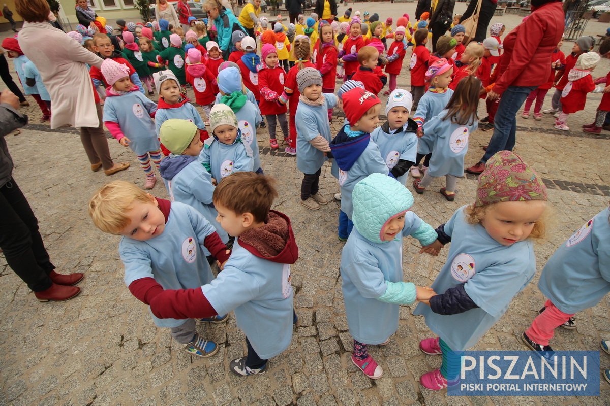 Kolorowy kwiatek na Placu Daszyńskiego