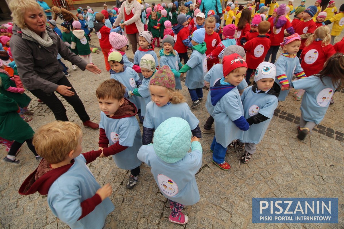 Kolorowy kwiatek na Placu Daszyńskiego