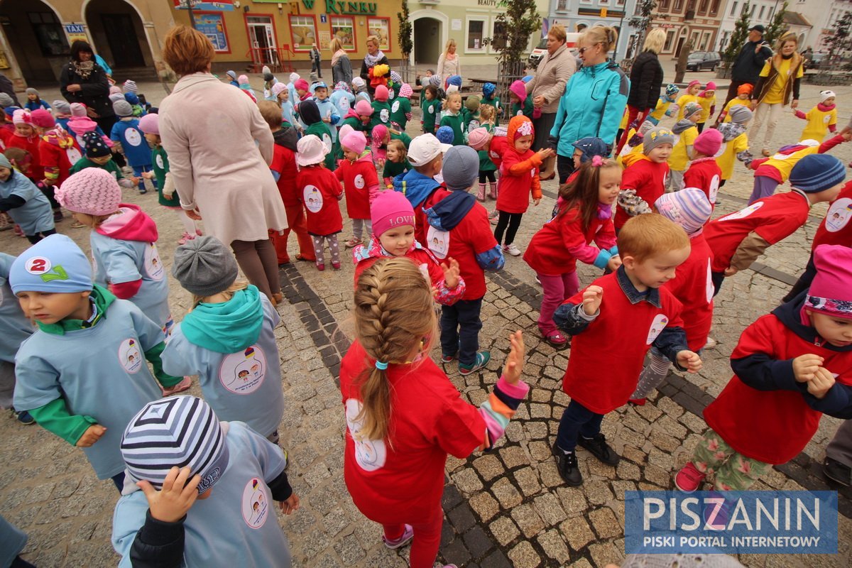 Kolorowy kwiatek na Placu Daszyńskiego