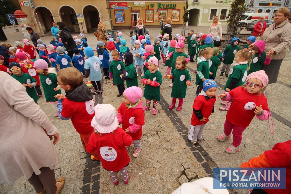 Kolorowy kwiatek na Placu Daszyńskiego