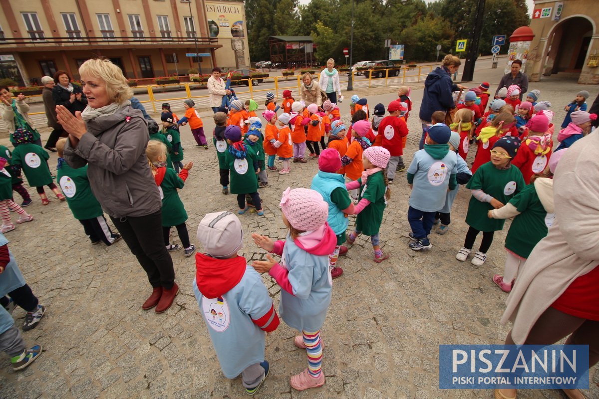 Kolorowy kwiatek na Placu Daszyńskiego