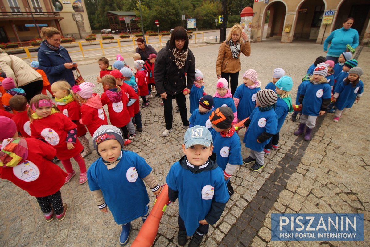 Kolorowy kwiatek na Placu Daszyńskiego