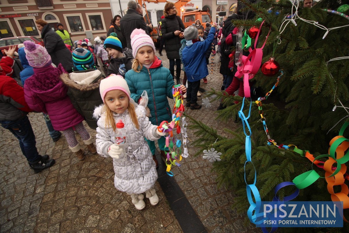 Wspólnie ubraliśmy choinkę na Placu Daszyńskiego