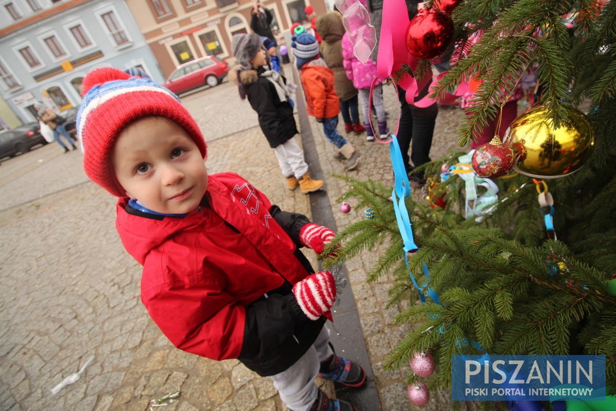 Wspólnie ubraliśmy choinkę na Placu Daszyńskiego