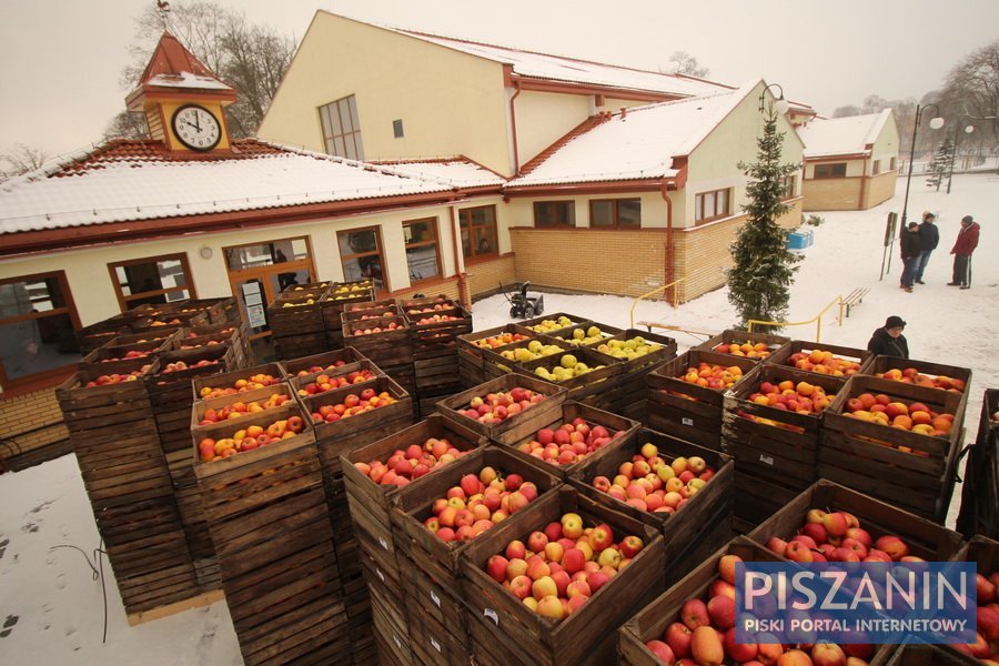 A teraz wszyscy Piszanie mają w domach szarlotkę