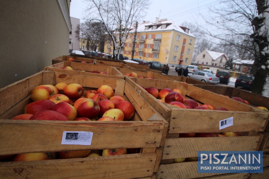 A teraz wszyscy Piszanie mają w domach szarlotkę