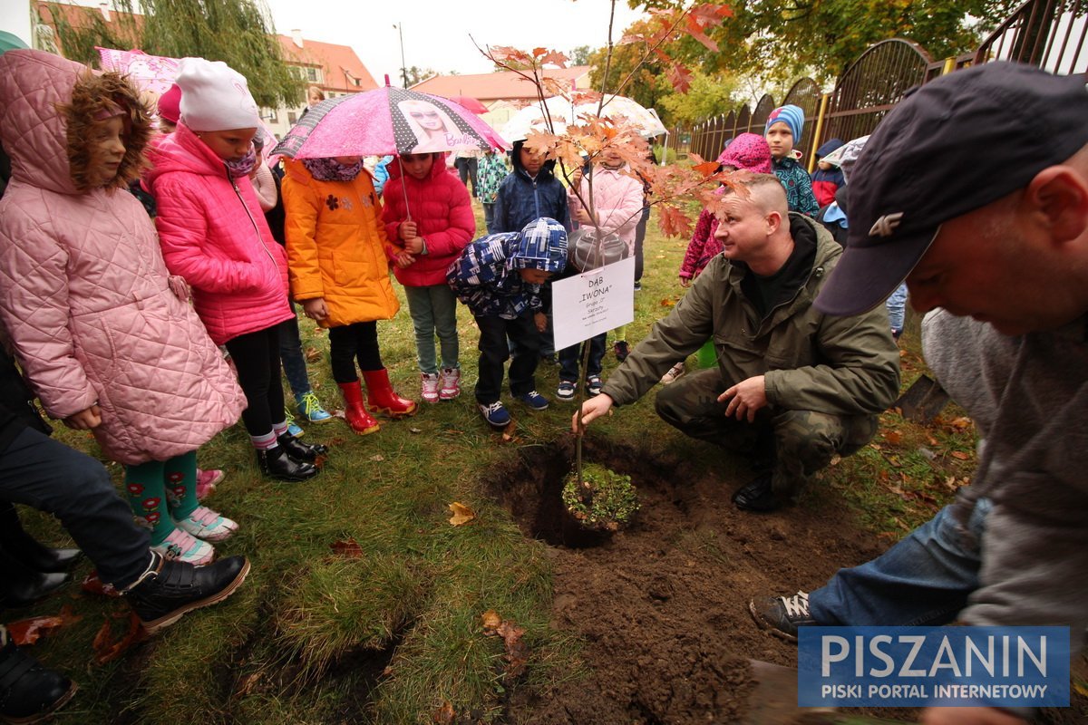 Drzewa będą rosły razem z uczniami