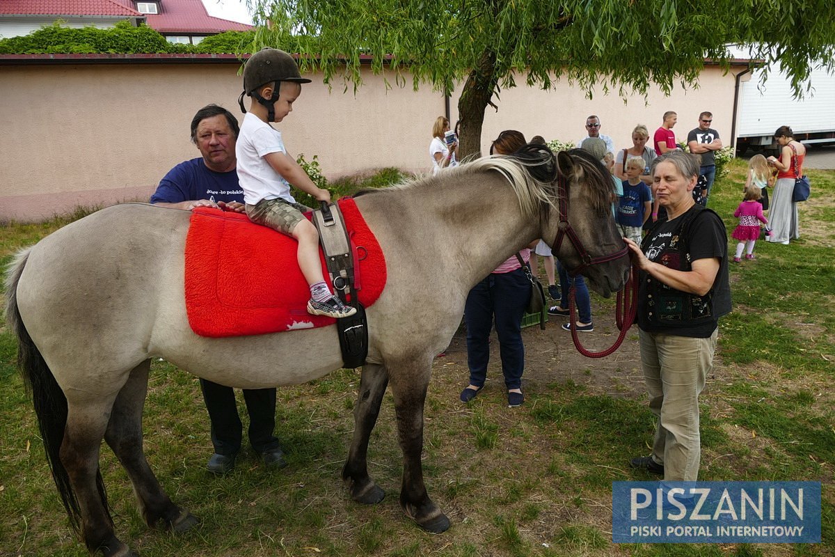 Przybyło 667 osób, zebrano ponad 18 tysięcy złotych - galeria zdjęć z pikniku