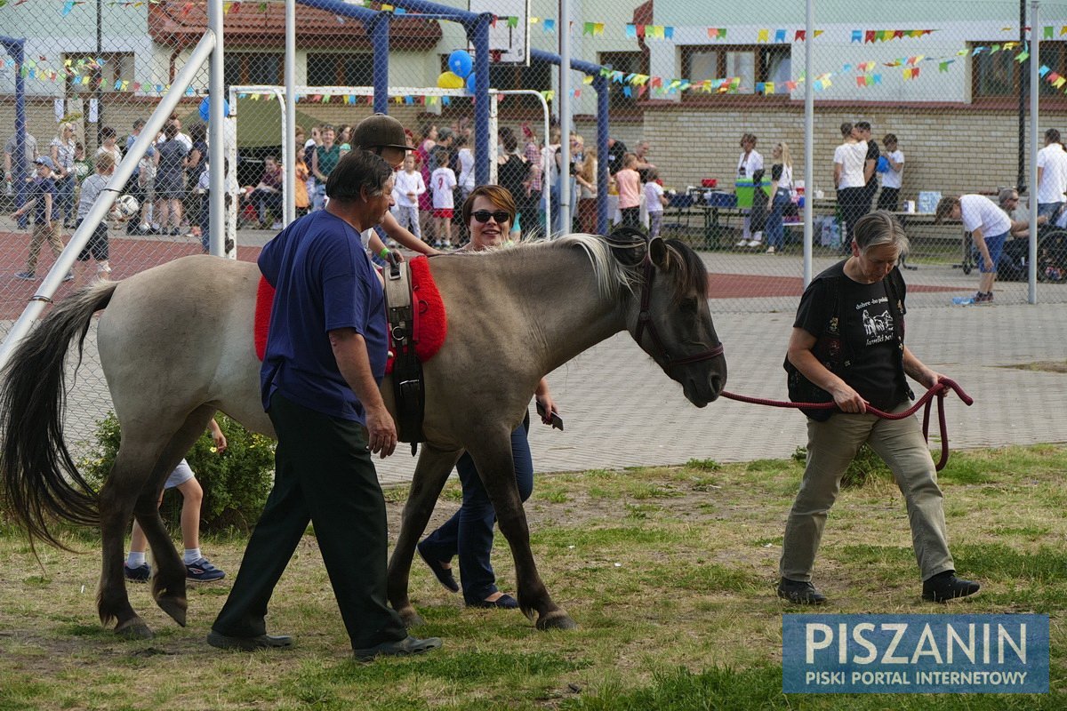 Przybyło 667 osób, zebrano ponad 18 tysięcy złotych - galeria zdjęć z pikniku