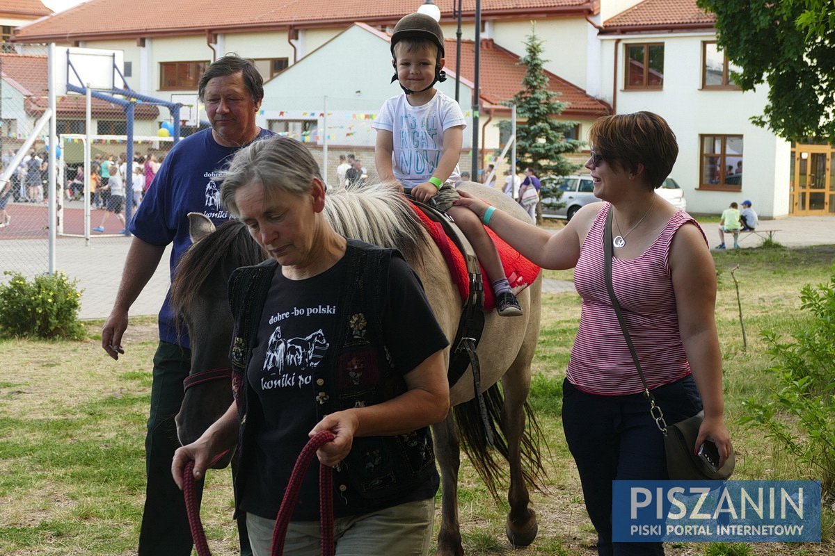 Przybyło 667 osób, zebrano ponad 18 tysięcy złotych - galeria zdjęć z pikniku