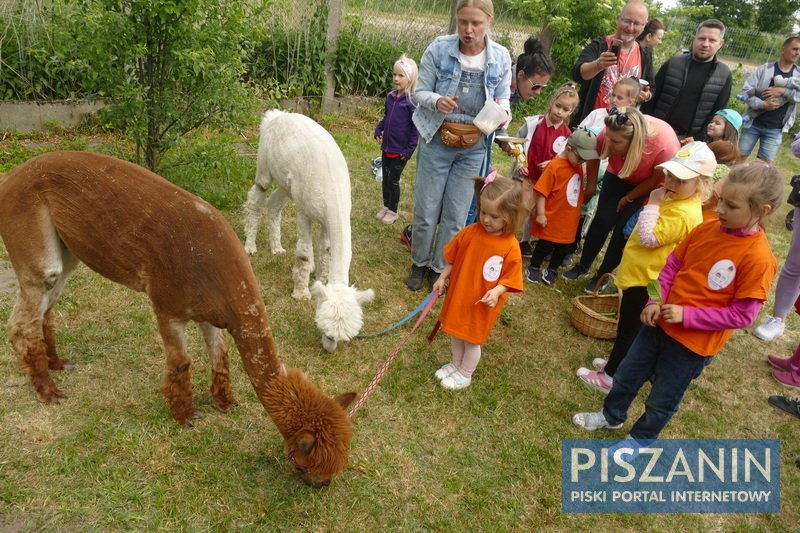 Mnóstwo zabawy i moc atrakcji na Przedszkolnym Pikniku Rodzinnym