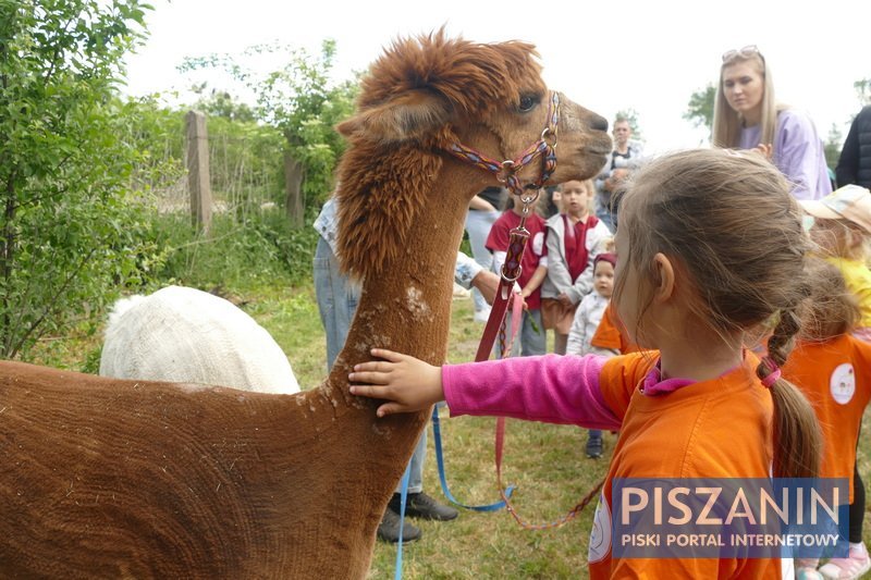 Mnóstwo zabawy i moc atrakcji na Przedszkolnym Pikniku Rodzinnym