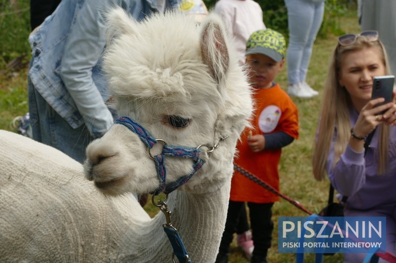 Mnóstwo zabawy i moc atrakcji na Przedszkolnym Pikniku Rodzinnym