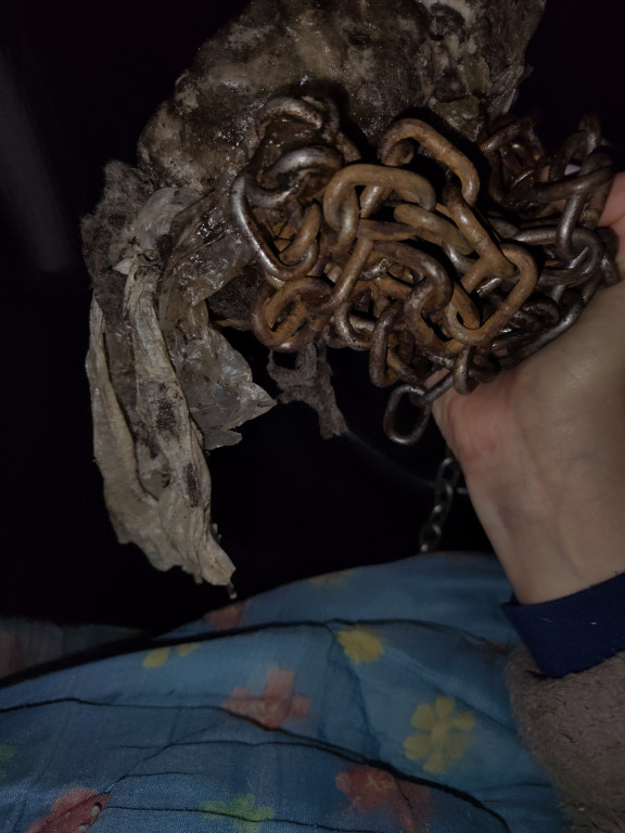 OTOZ Animals Barczewo - Uwaga drastyczne zdjęcia