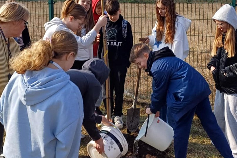 Uczniowie SP4 sadzili drzewka