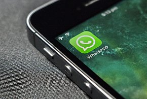 WhatsApp się zmienia. Czy aplikacja będzie płatna?-240939