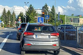 Egzamin na prawo jazdy będzie inny. Od 1 lipca nowe zasady-240970