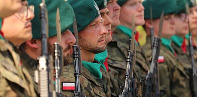 Święto Wojska Polskiego na zdjęciach. Przemówienia, występy, wieńce-241339
