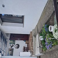 zdjecie ogloszenia
