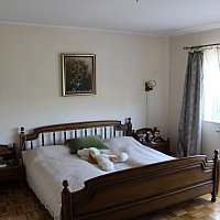 zdjecie ogloszenia