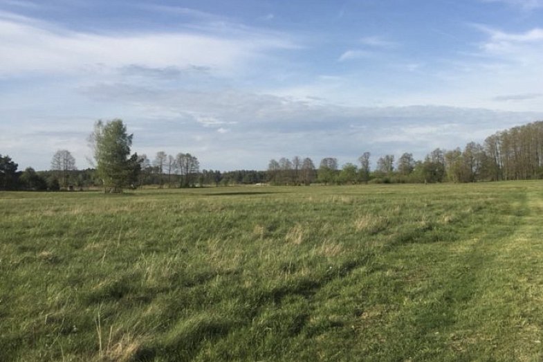 zdjecie ogloszenia