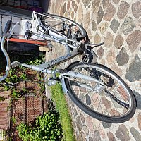 zdjecie ogloszenia