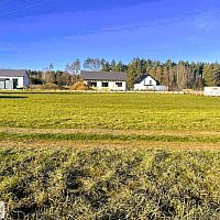zdjecie ogloszenia