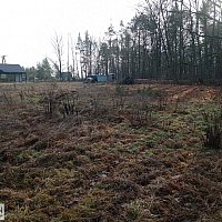 zdjecie ogloszenia