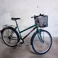 zdjecie ogloszenia