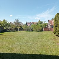 zdjecie ogloszenia