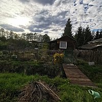 zdjecie ogloszenia