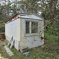 zdjecie ogloszenia