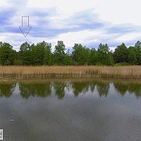 zdjecie ogloszenia