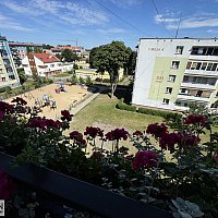 zdjecie ogloszenia