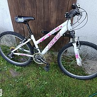 zdjecie ogloszenia