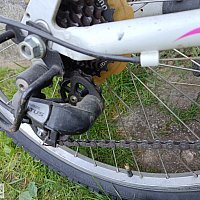 zdjecie ogloszenia