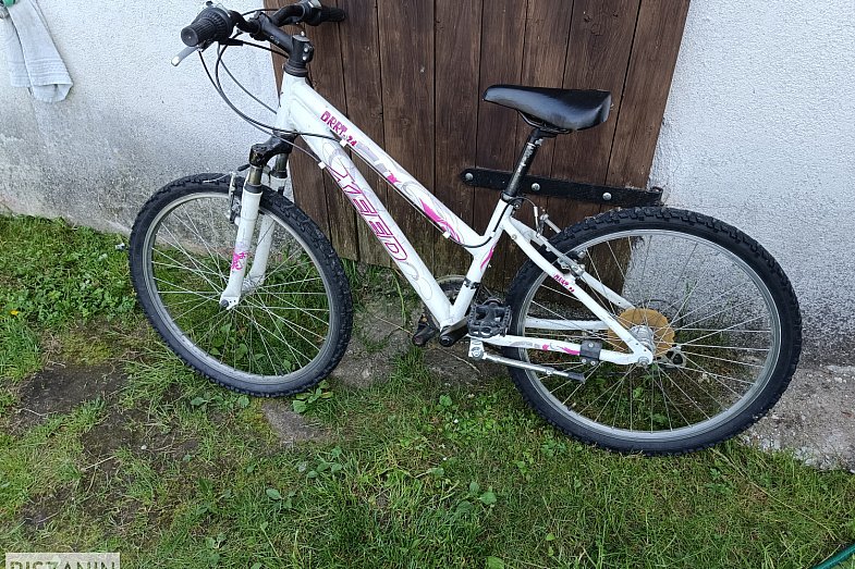 zdjecie ogloszenia