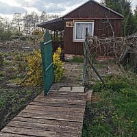zdjecie ogloszenia