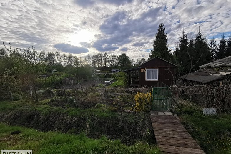 zdjecie ogloszenia